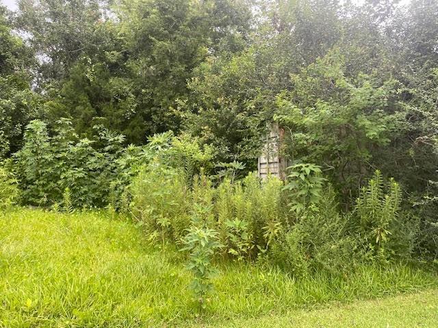 E 3rd Street, Reserve, Louisiana image 3
