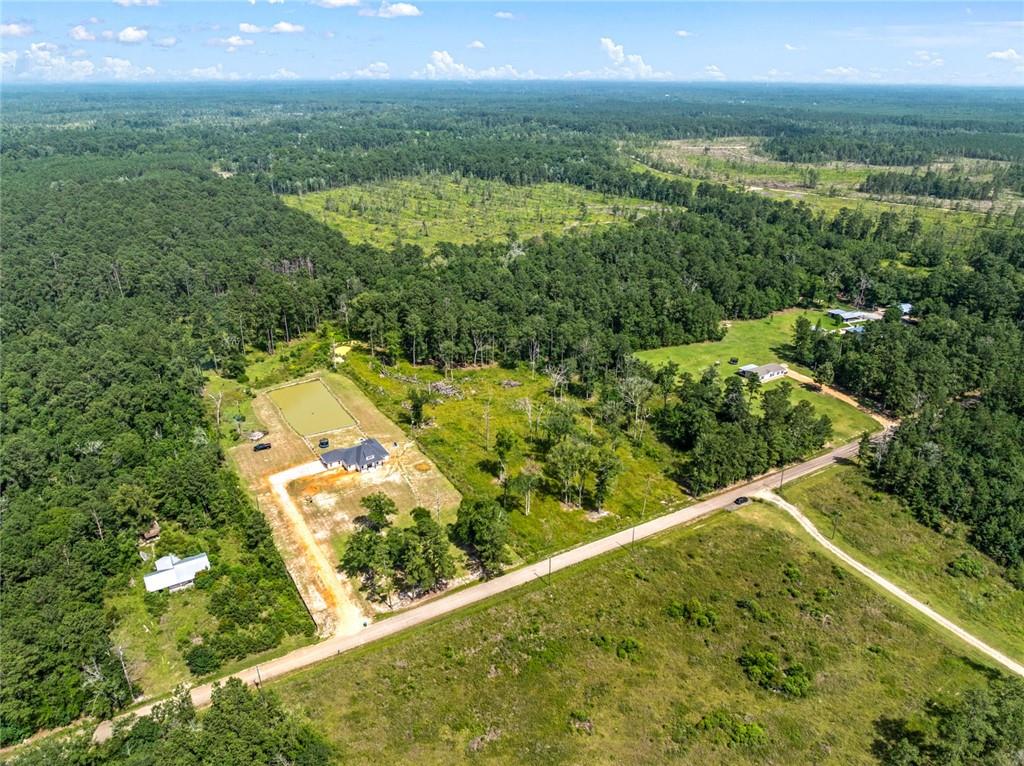 33991 Jl Kinchen Road, Independence, Louisiana image 3