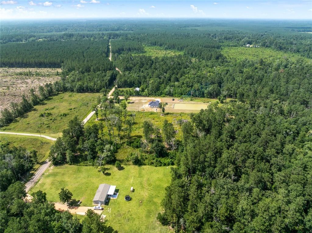 33991 Jl Kinchen Road, Independence, Louisiana image 7