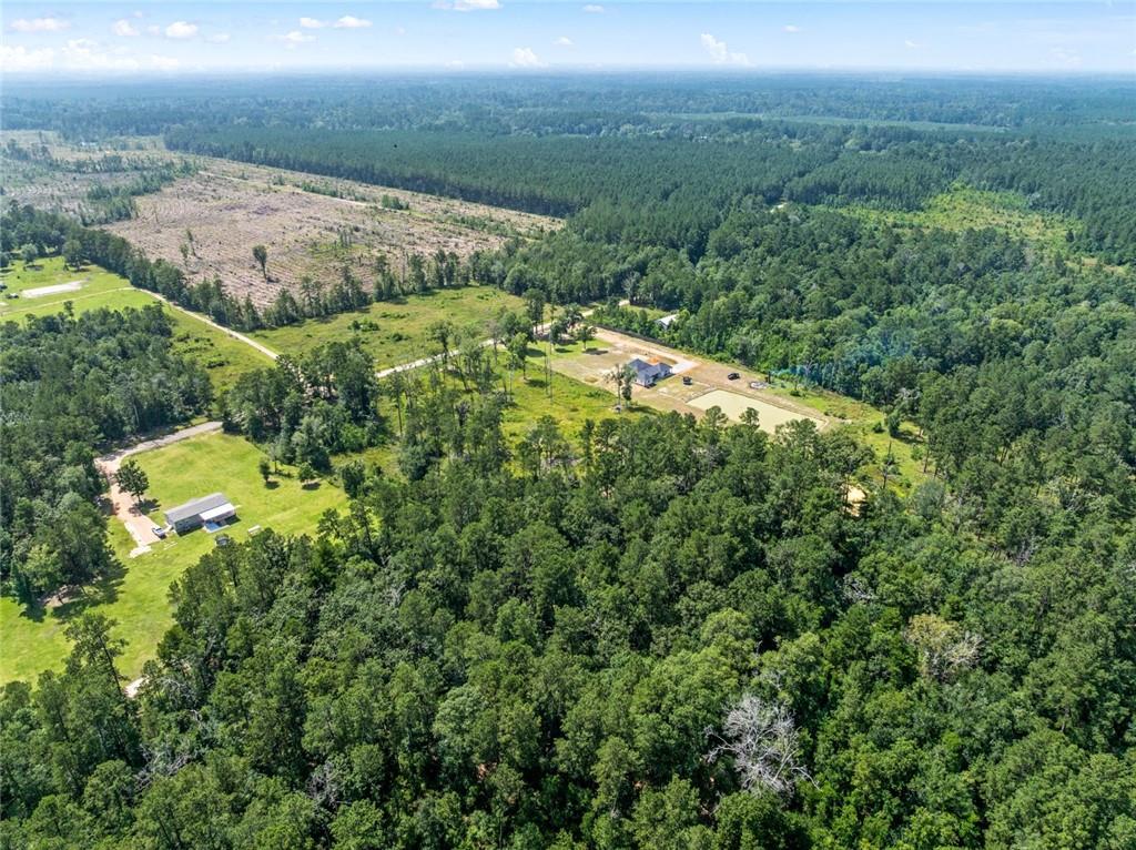 33991 Jl Kinchen Road, Independence, Louisiana image 8