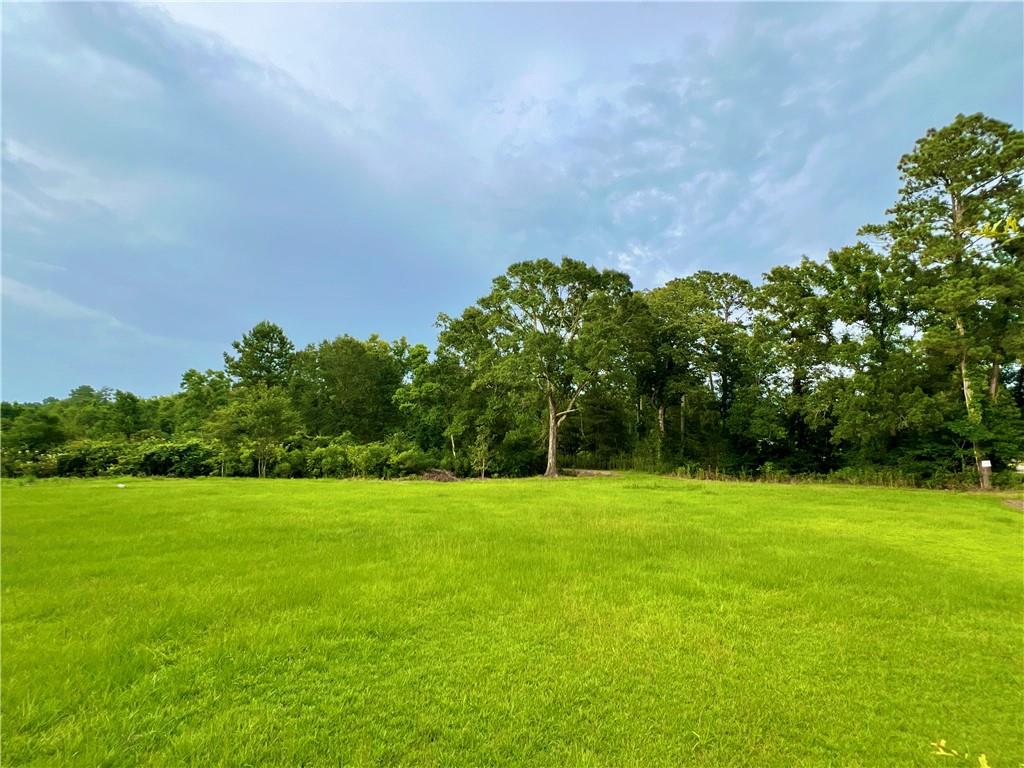 20415 Weinberger Road, Ponchatoula, Louisiana image 1