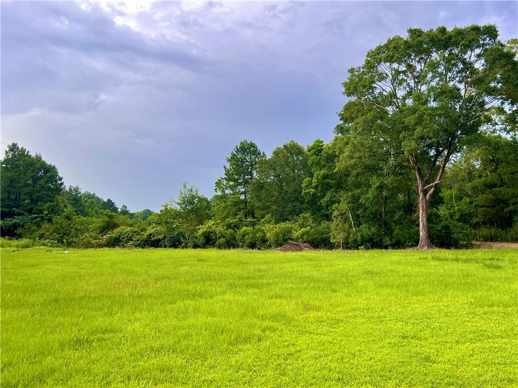 20415 Weinberger Road, Ponchatoula, Louisiana image 3