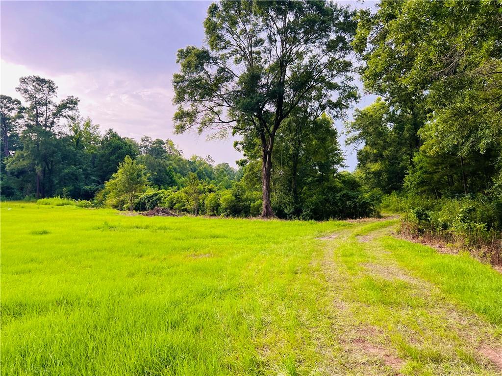20415 Weinberger Road, Ponchatoula, Louisiana image 4