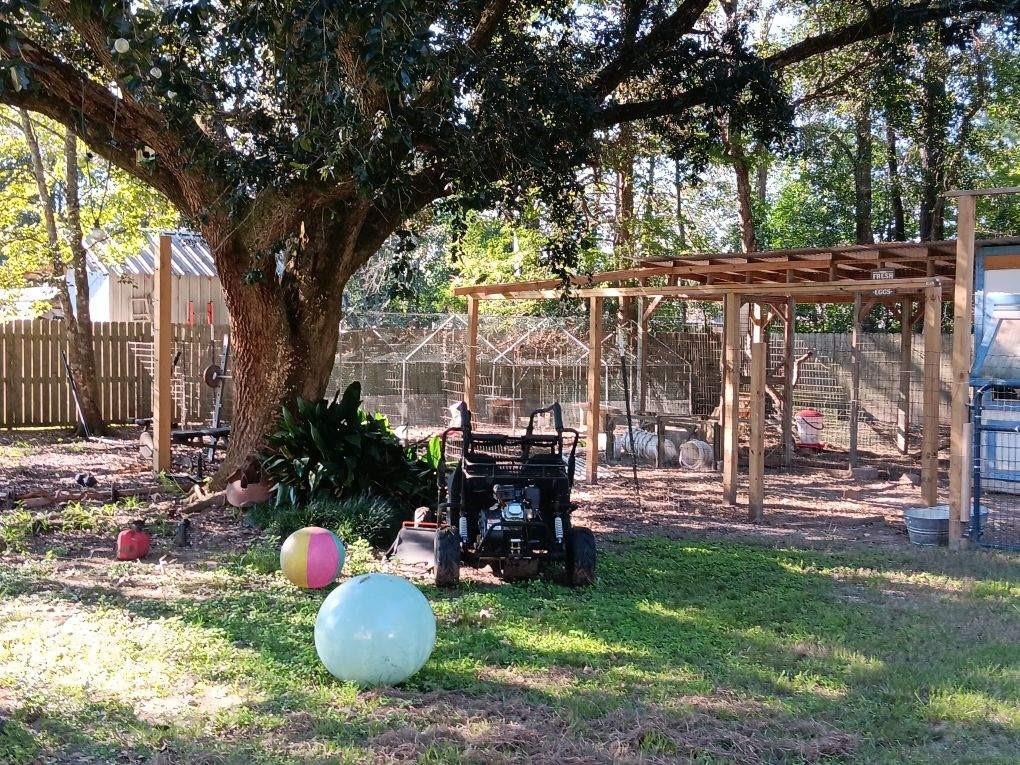 29249 Ironwood Road, Livingston, Louisiana image 43