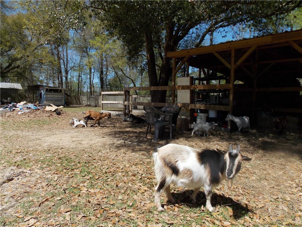 29249 Ironwood Road, Livingston, Louisiana image 46
