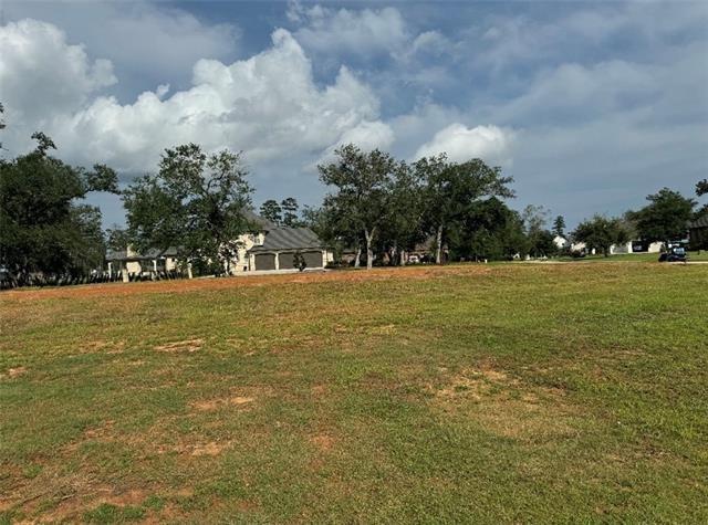 24100 Snowy Egret Cove, Springfield, Louisiana image 2