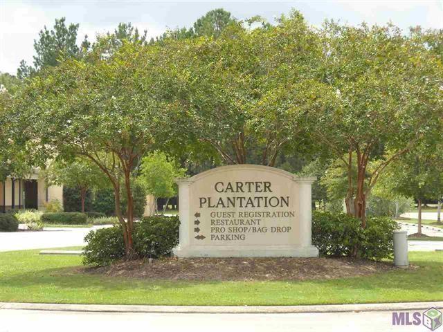 24100 Snowy Egret Cove, Springfield, Louisiana image 8