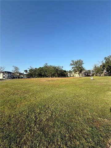24100 Snowy Egret Cove, Springfield, Louisiana image 9