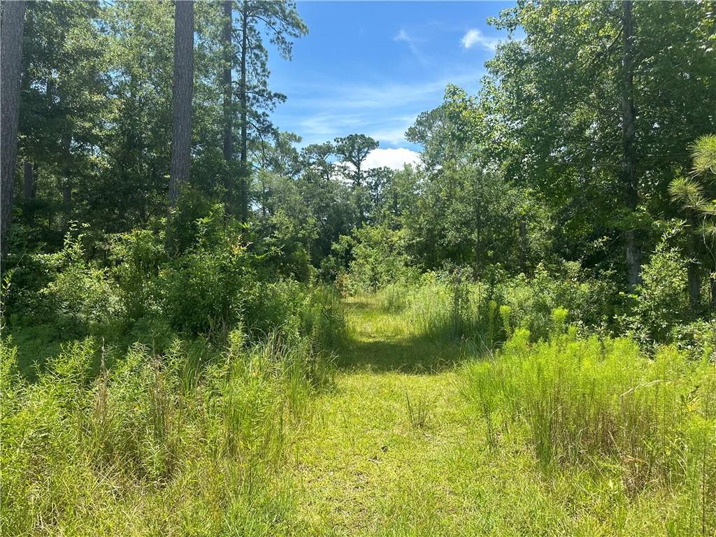 Lot 16 Alan Circle, Slidell, Louisiana image 2