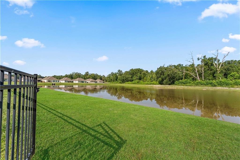 42333 Jasper Lane, Ponchatoula, Louisiana image 23