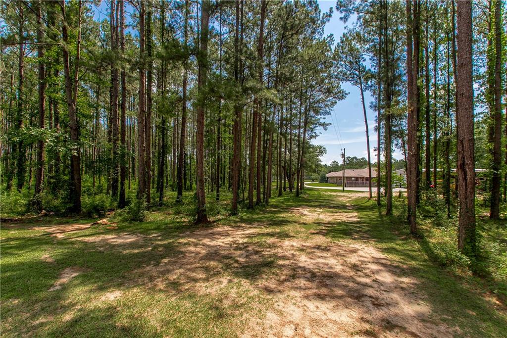 62636 Russell Town Road, Roseland, Louisiana image 11