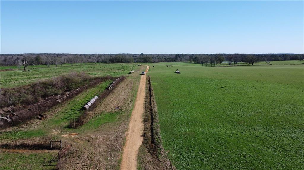 C-1 Kippy Lane, Amite, Louisiana image 5