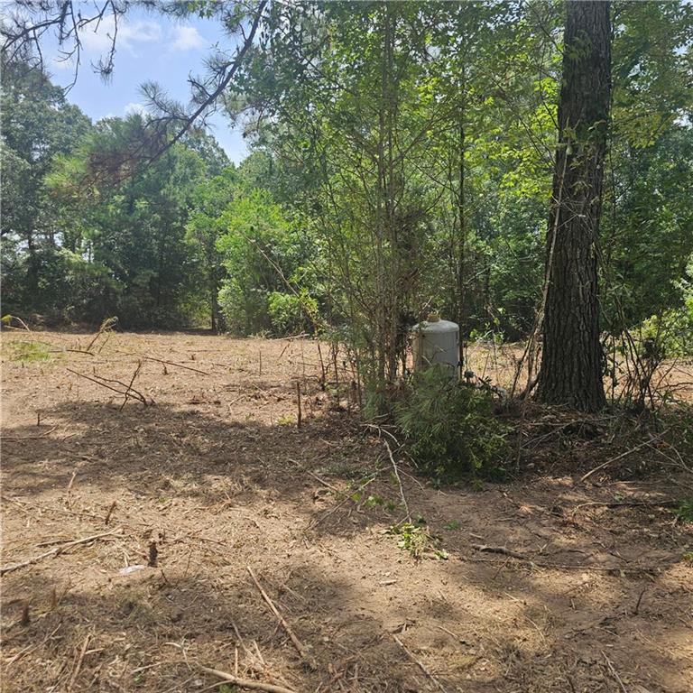 Lot A- Vining Road, Amite, Louisiana image 1