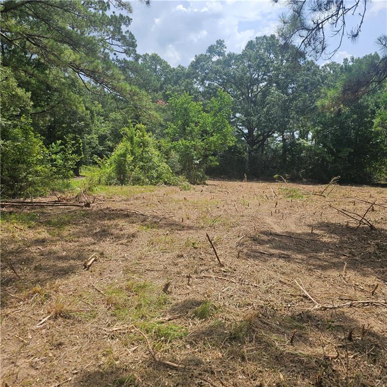 Lot A- Vining Road, Amite, Louisiana image 2