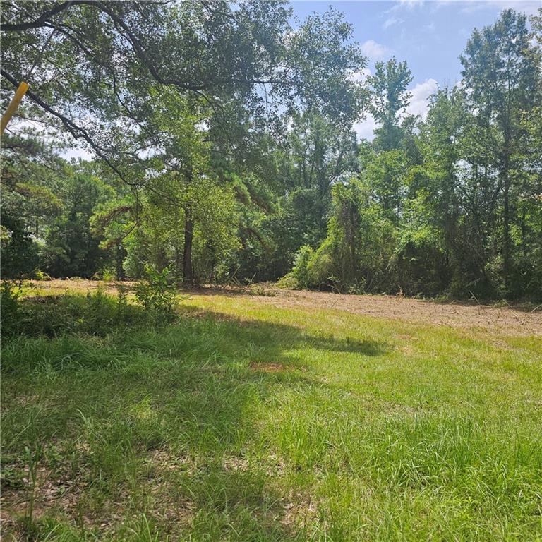 Lot A- Vining Road, Amite, Louisiana image 3