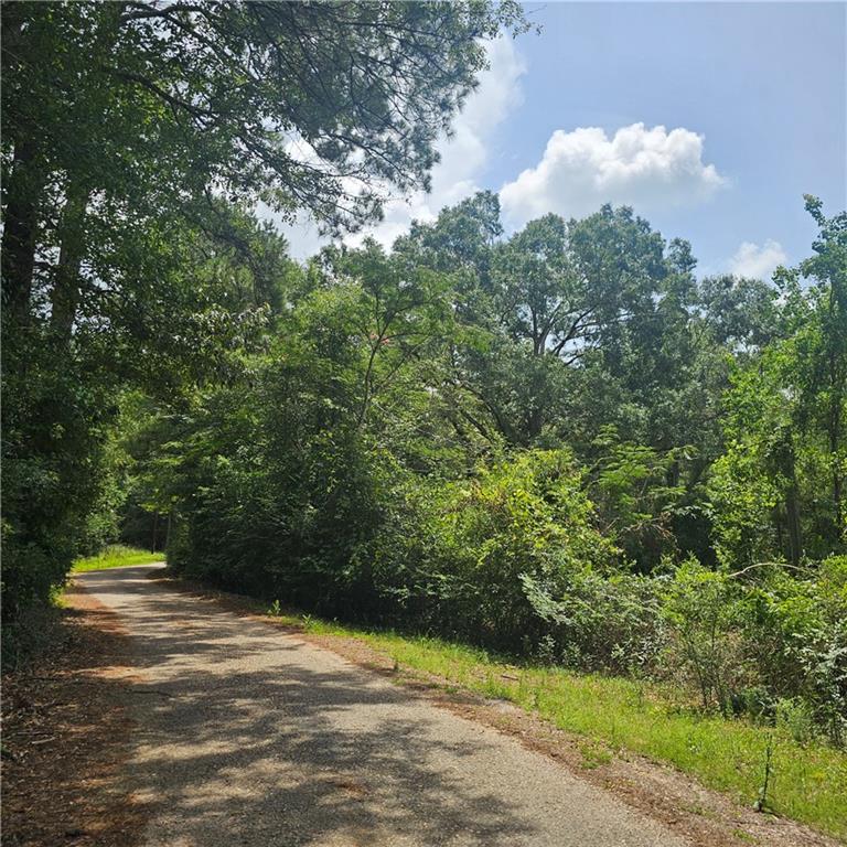 Lot A- Vining Road, Amite, Louisiana image 5