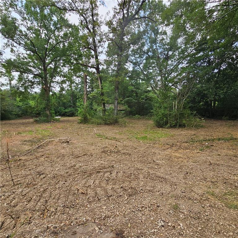 Lot B - Vining Road, Amite, Louisiana image 2