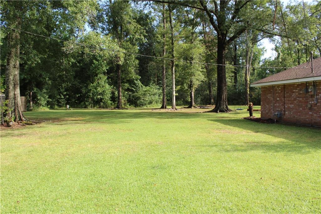 30580 Tamjulon Road, Albany, Louisiana image 28