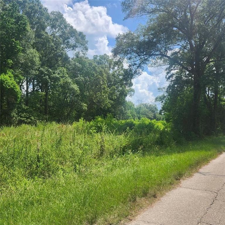 Calmes Road, Denham Springs, Louisiana image 2