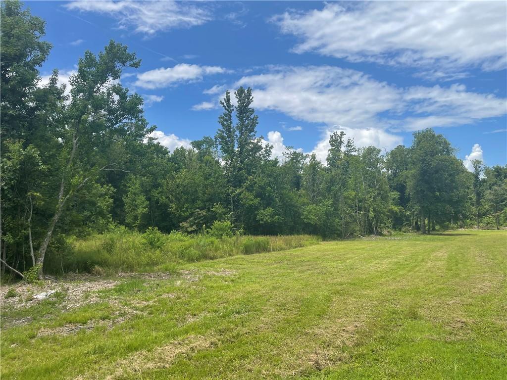 46185 W Jake Drive, Hammond, Louisiana image 29