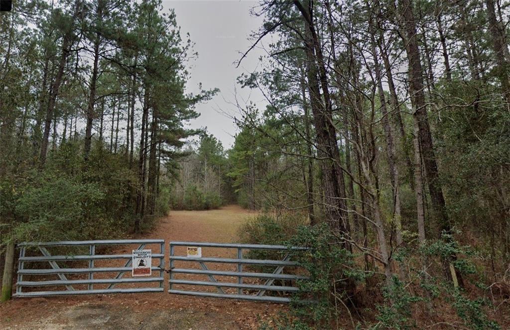 TBD Brairwood Drive, Hammond, Louisiana image 1