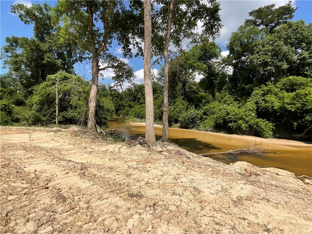 73488 River Road, Covington, Louisiana image 1