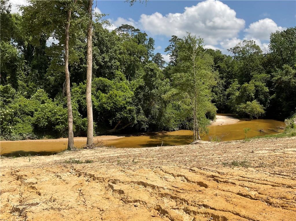 73488 River Road, Covington, Louisiana image 2