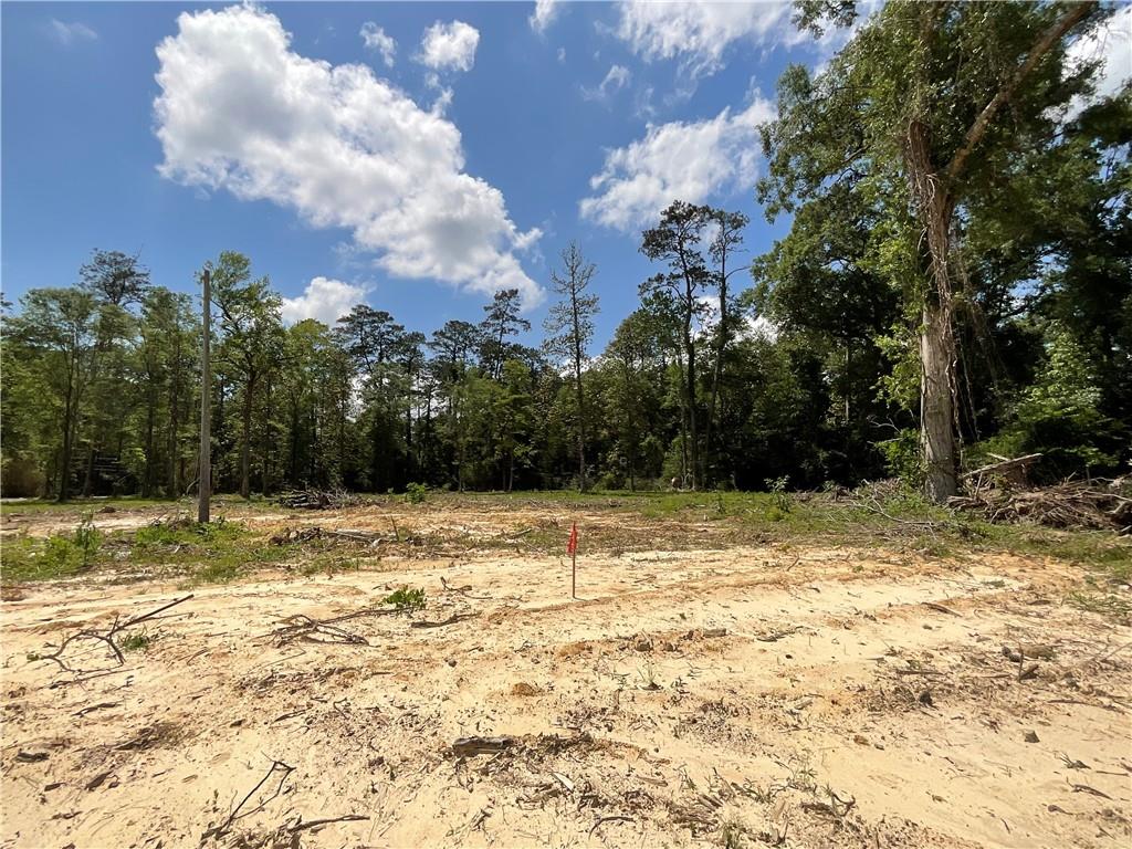 73488 River Road, Covington, Louisiana image 7