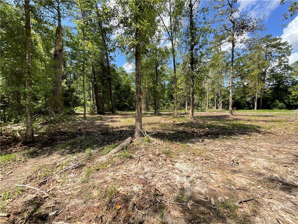73488 River Road, Covington, Louisiana image 8