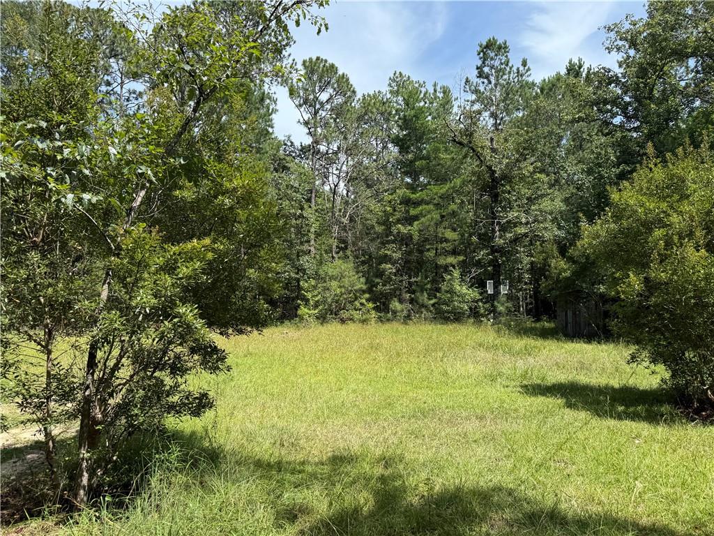 79468 Bruhl Road, Folsom, Louisiana image 3