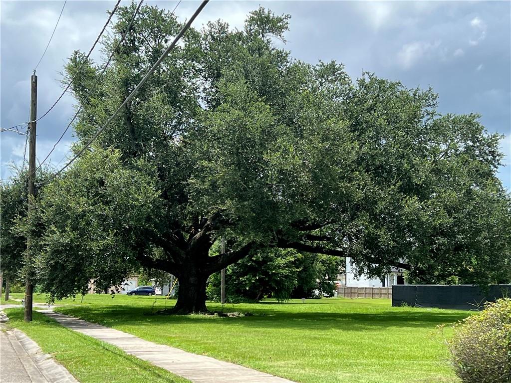 7205 Easy Street, Arabi, Louisiana image 3