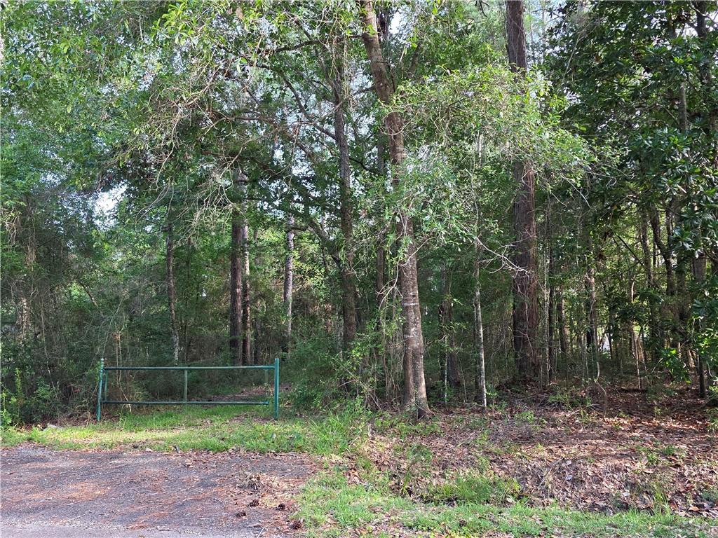 Chateau Drive, Slidell, Louisiana image 1