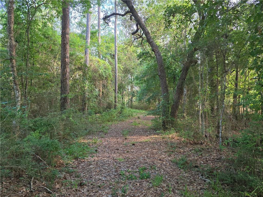 Chateau Drive, Slidell, Louisiana image 2