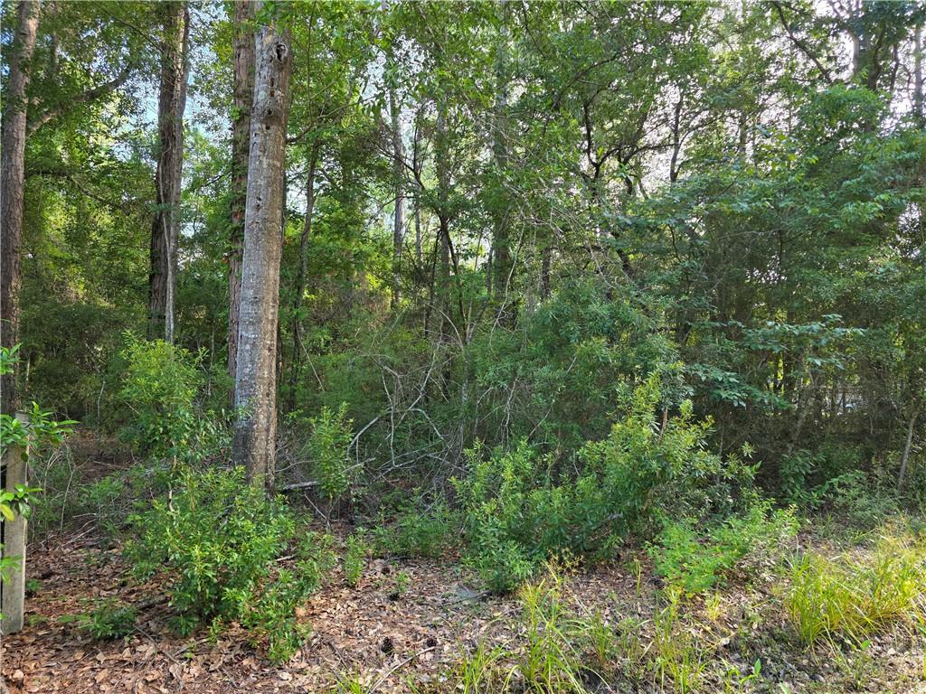 Chateau Drive, Slidell, Louisiana image 3