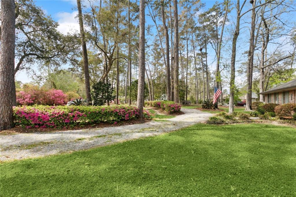 124 North Drive, Covington, Louisiana image 6