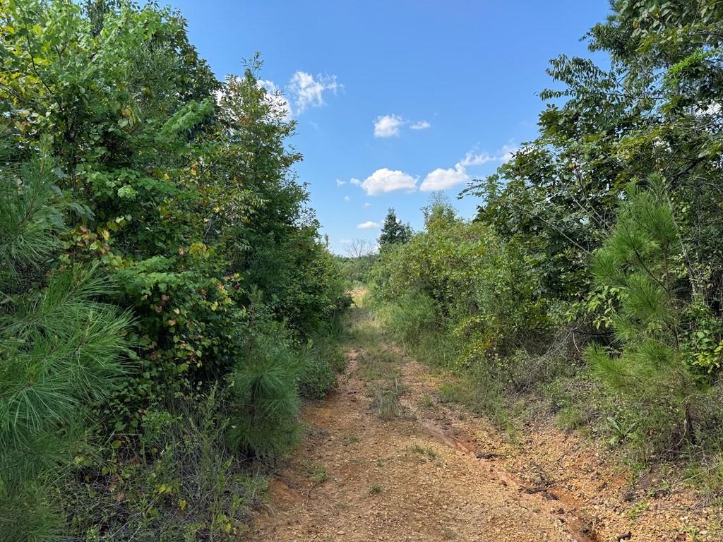 816 Denton Trail, Brookhaven, Mississippi image 1