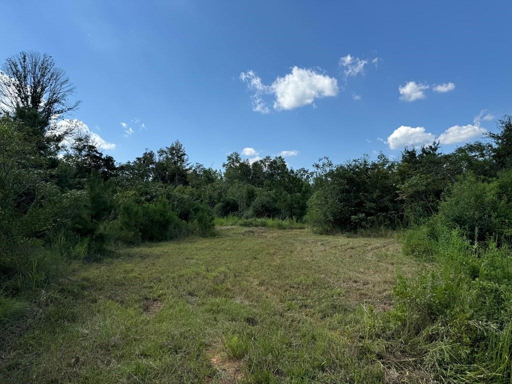 816 Denton Trail, Brookhaven, Mississippi image 2