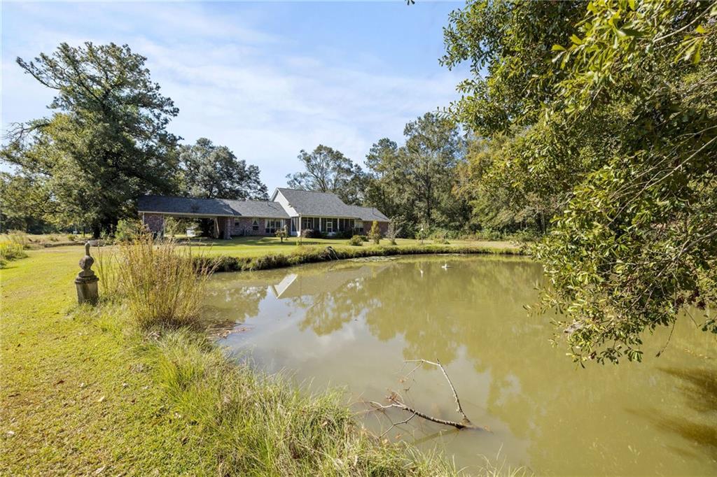 22365 Rachel Lane, Ponchatoula, Louisiana image 23