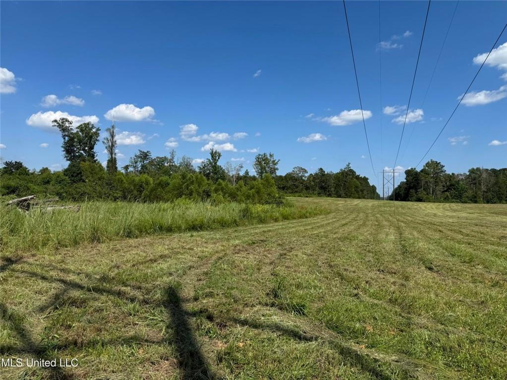 816a Denton Trail, Brookhaven, Mississippi image 3