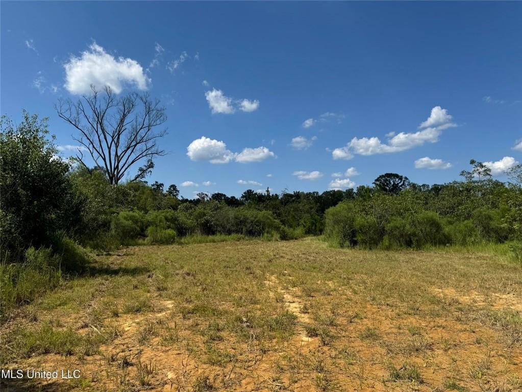 816a Denton Trail, Brookhaven, Mississippi image 5