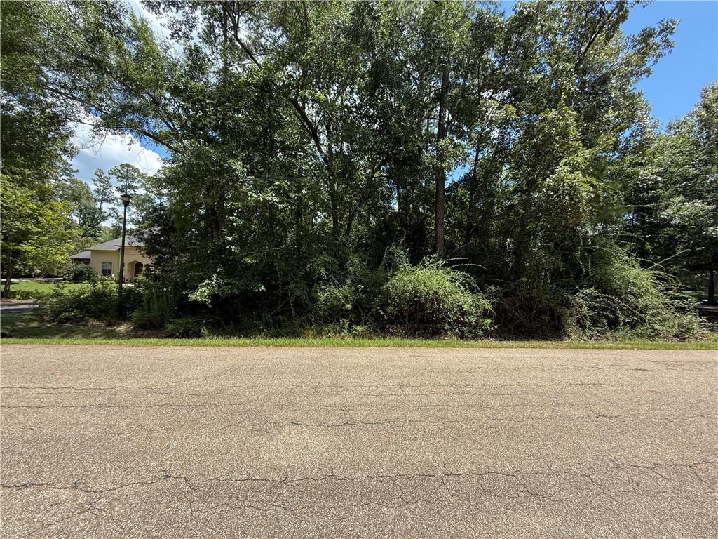 Lot 2 Old Mandeville Lane, Mandeville, Louisiana image 10