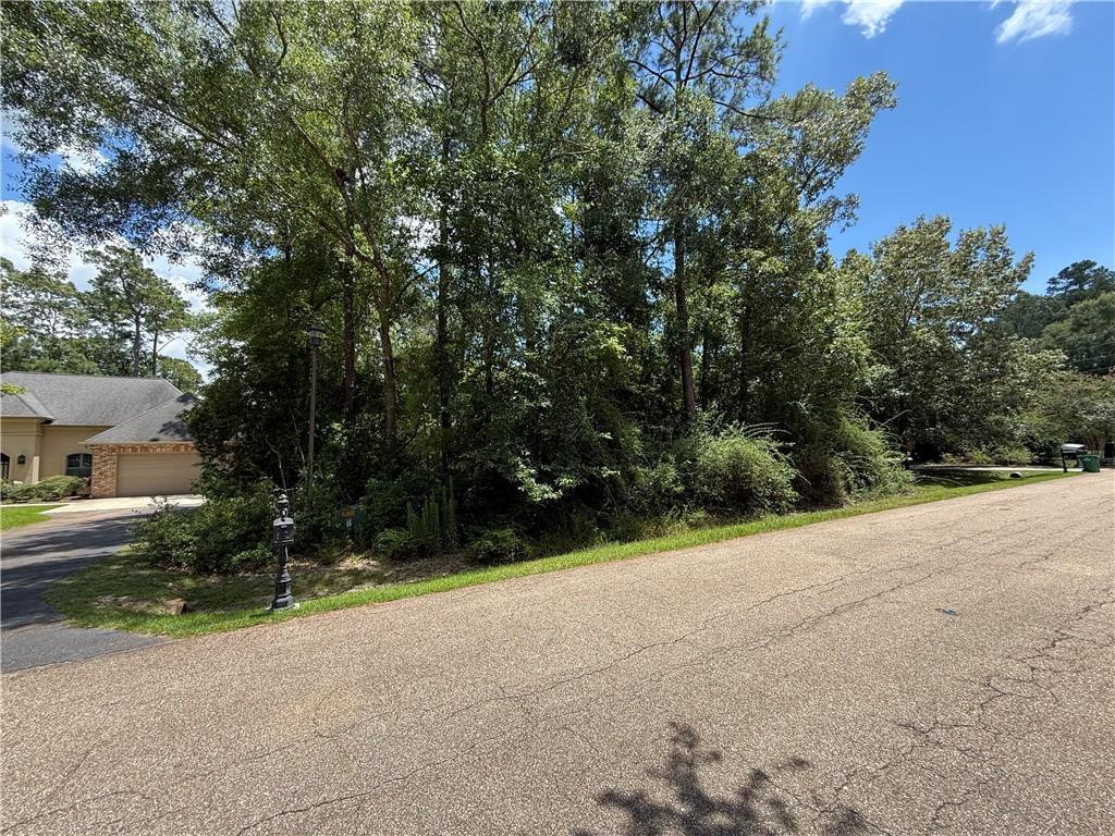 Lot 2 Old Mandeville Lane, Mandeville, Louisiana image 11