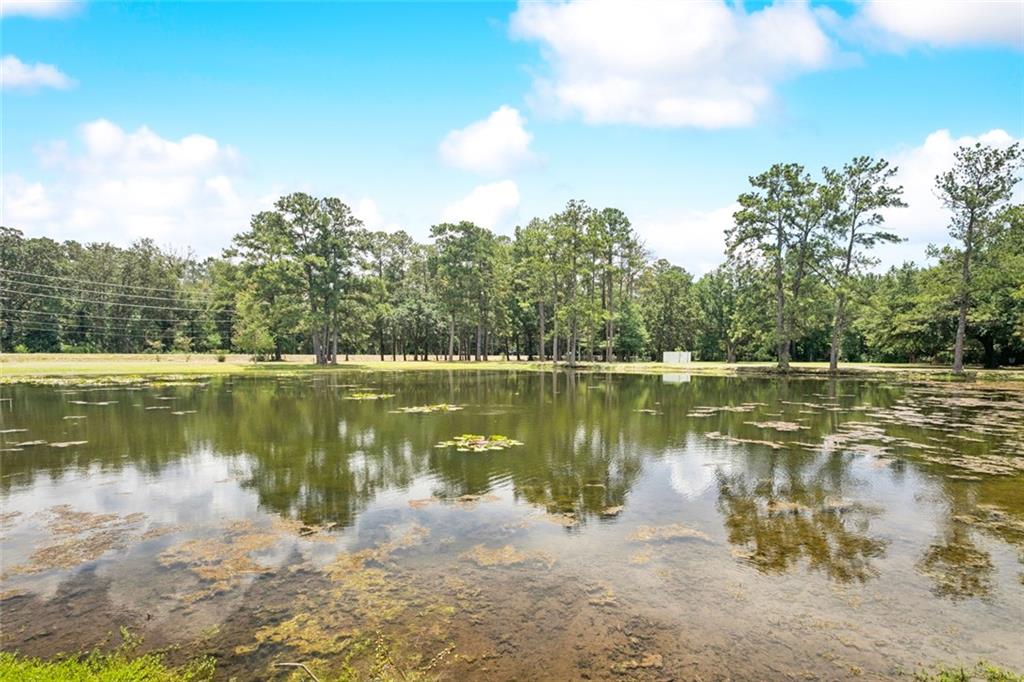 46091 LOT #37 445 Highway, Robert, Louisiana image 10