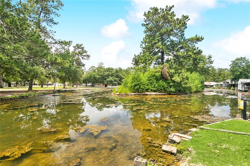 46091 LOT #37 445 Highway, Robert, Louisiana image 9