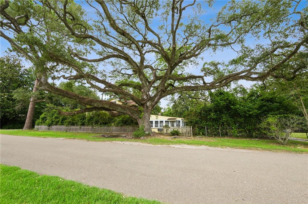 830 S Madison Street, Covington, Louisiana image 4