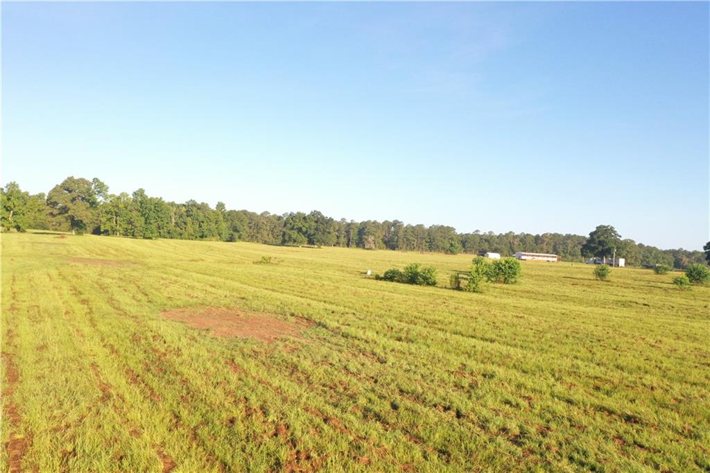 La. Hwy 1058 Highway, Roseland, Louisiana image 7