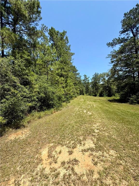 Lake Choctaw Road, Franklinton, Louisiana image 1