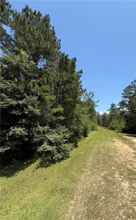 Lake Choctaw Road, Franklinton, Louisiana image 5