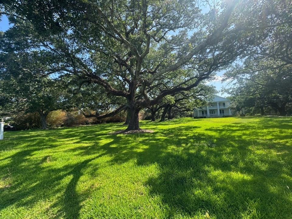 99 Main Street, Franklin, Louisiana image 4