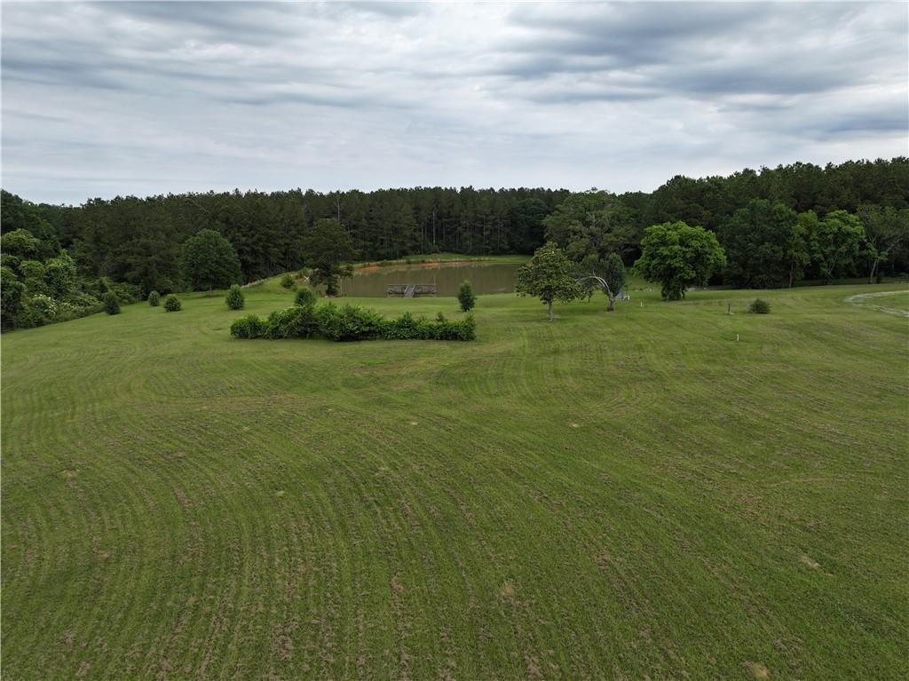 21221 Hwy 1057 Highway, Kentwood, Louisiana image 17